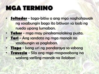 magsasabong in english|Sabong Meaning .